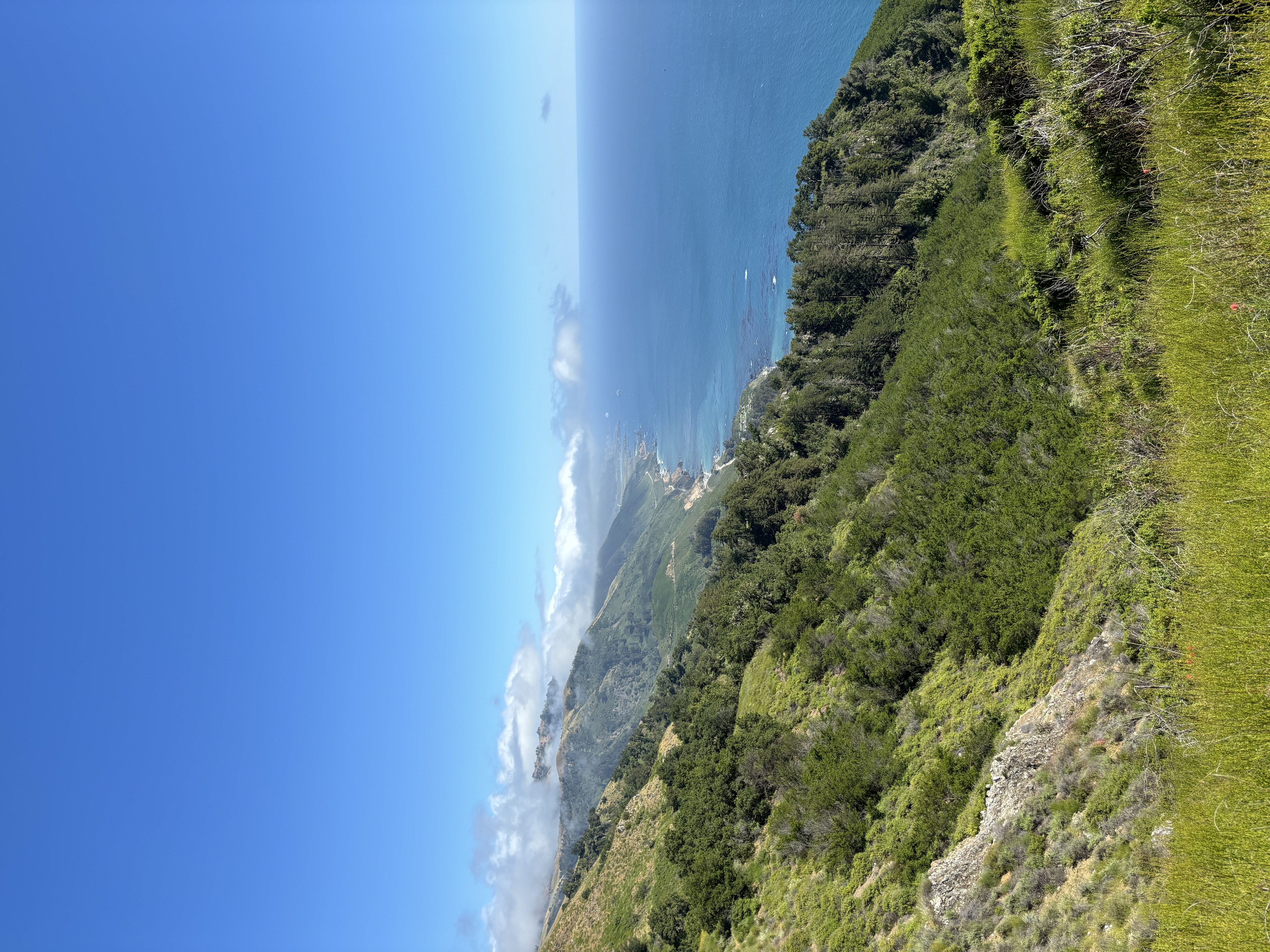 Big Sur