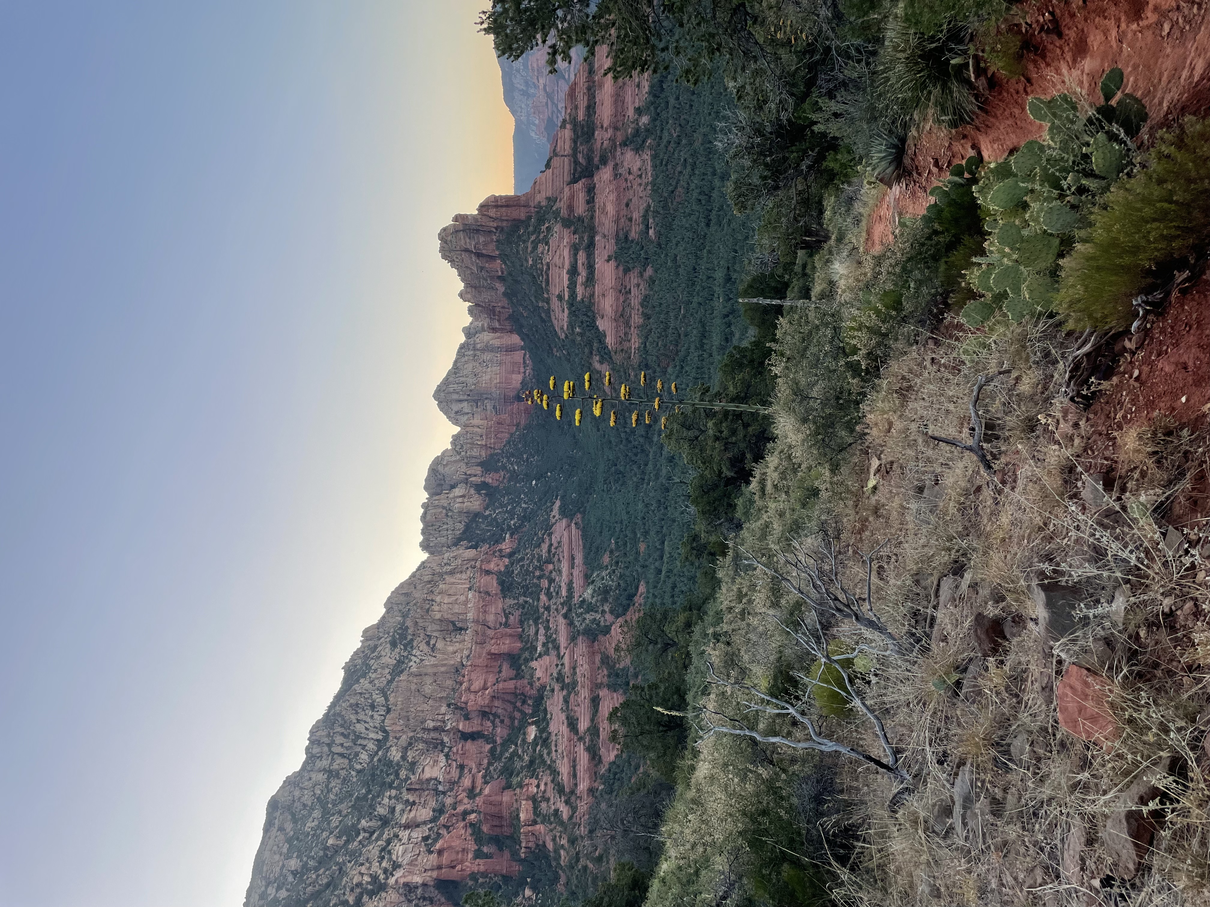 Sedona